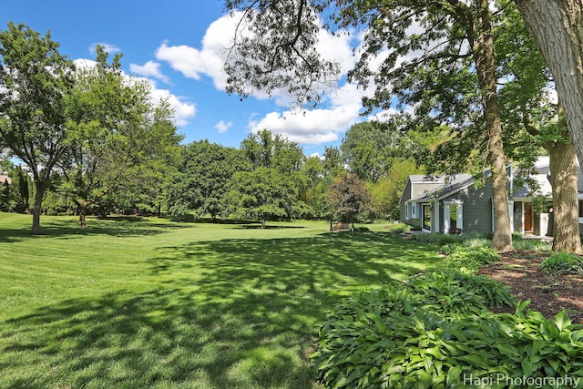 1504 N Denali Trl, Mchenry, IL 60050 - view of green lawn featuring view of wooded area