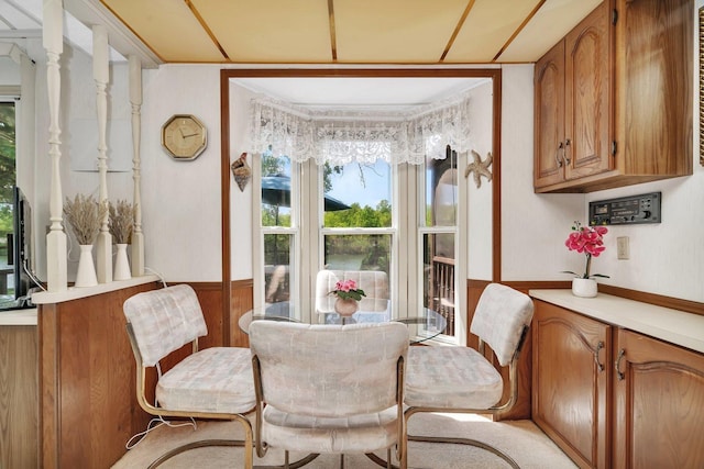 75 Largemouth Ln, Wilmington, IL 60481 - dining space with wainscoting and wooden walls