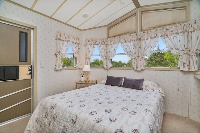 75 Largemouth Ln, Wilmington, IL 60481 - carpeted bedroom with wallpapered walls, vaulted ceiling, and multiple windows