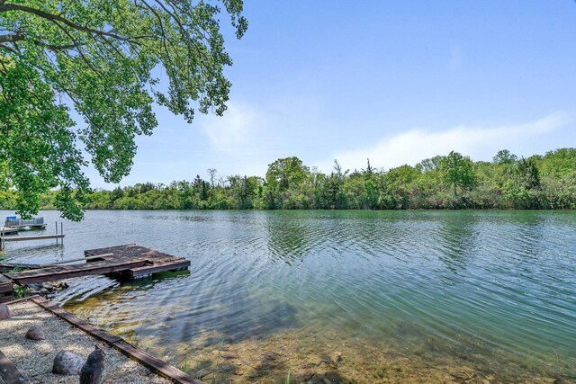 75 Largemouth Ln, Wilmington, IL 60481 - photo 25