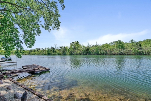 75 Largemouth Ln, Wilmington, IL 60481 - dock featuring a water view