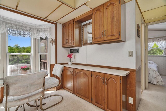 75 Largemouth Ln, Wilmington, IL 60481 - photo 10