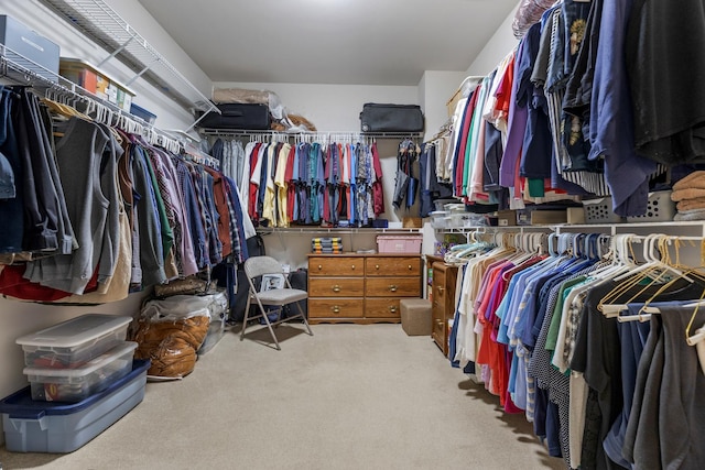 12183 Wildflower Ln, Huntley, IL 60142 - spacious closet featuring carpet floors