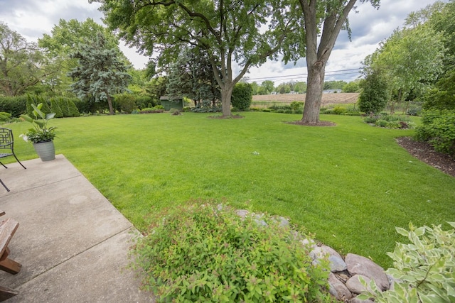 405 Farmington Ave, Joliet, IL 60435 - view of green lawn with a patio