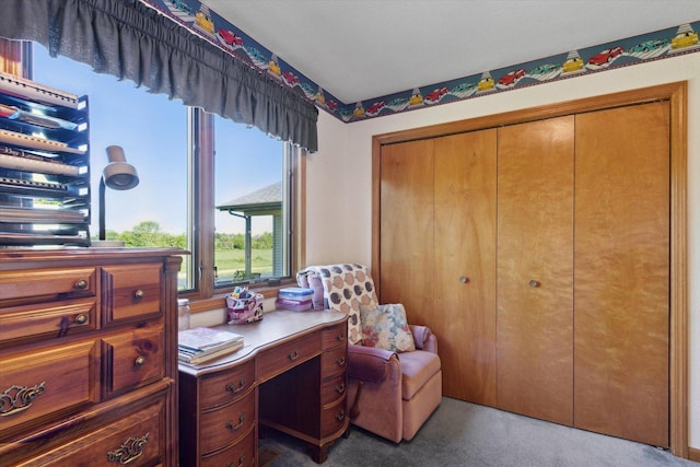 5057 Kasch Rd, Pecatonica, IL 61063 - view of carpeted office