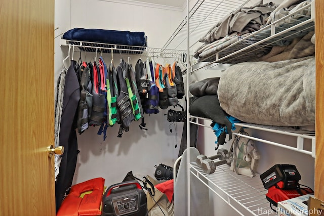 24991 W Forest Dr, Lake Villa, IL 60046 - view of spacious closet