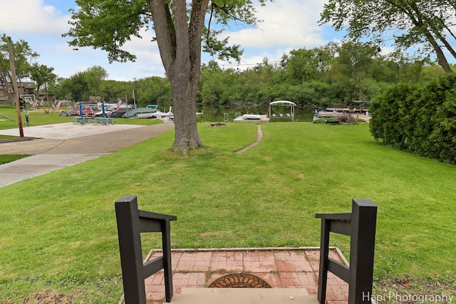 24991 W Forest Dr, Lake Villa, IL 60046 - view of grassy yard