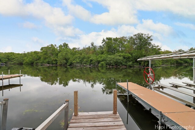 24991 W Forest Dr, Lake Villa, IL 60046 - dock area with a water view and a view of trees