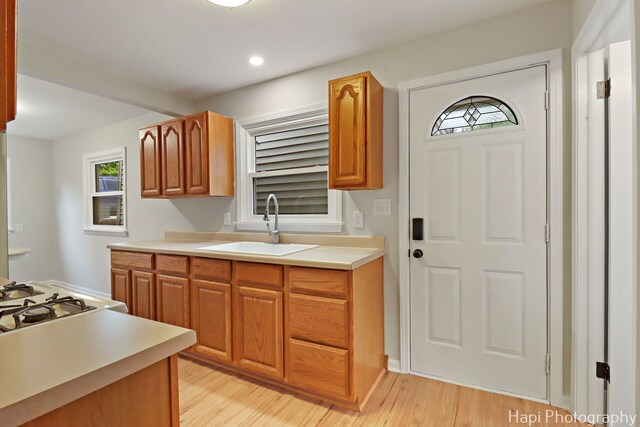 24991 W Forest Dr, Lake Villa, IL 60046 - kitchen with a sink, plenty of natural light, light wood-style floors, light countertops, and recessed lighting