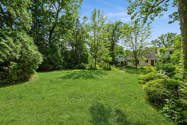 4N051 Wood Dale Rd, Addison, IL 60101 - view of green lawn