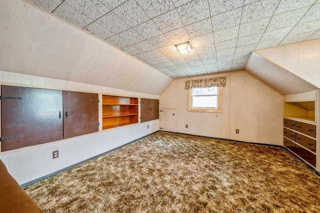 4N051 Wood Dale Rd, Addison, IL 60101 - bonus room with carpet flooring, vaulted ceiling, and built in features