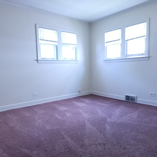 9716 Warren Ave, Oak Lawn, IL 60453 - photo 12
