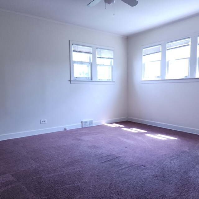 9716 Warren Ave, Oak Lawn, IL 60453 - photo 10