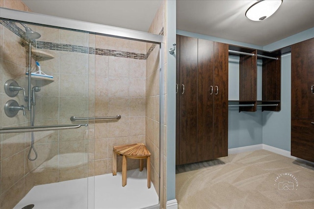 1103 N Mill St Unit 111, Naperville, IL 60563 - full bathroom with a shower stall and baseboards