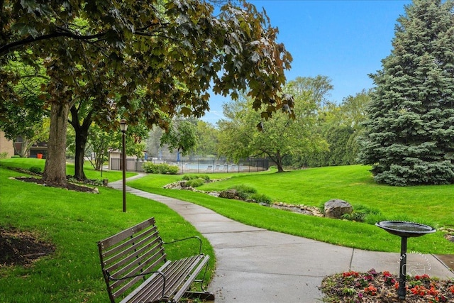 1103 N Mill St Unit 111, Naperville, IL 60563 - view of community
