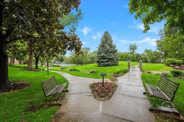 1103 N Mill St Unit 111, Naperville, IL 60563 - surrounding community with a lawn and a water view