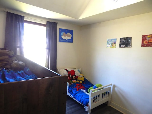 2406 Grape St, Joliet, IL 60435 - bedroom with wood finished floors, lofted ceiling, and baseboards