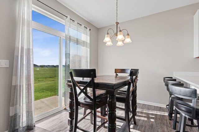15123 W Quincy Cir, Manhattan, IL 60442 - dining space featuring wood finished floors, a chandelier, and baseboards