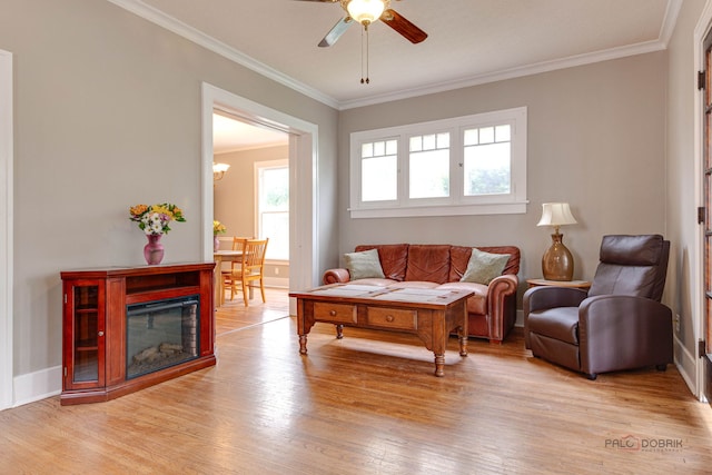 71 S Chestnut St, Aurora, IL 60506 - living room featuring light wood finished floors, crown molding, and a ceiling fan