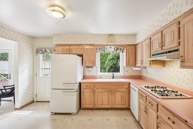 7913 Grant St, Darien, IL 60561 - kitchen with white appliances, wallpapered walls, a sink, under cabinet range hood, and plenty of natural light