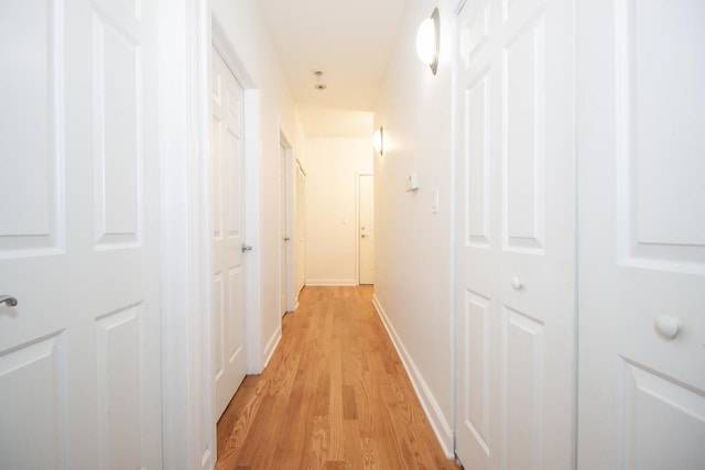 1500 S Halsted St Unit 1B, Chicago, IL 60607 - corridor featuring light wood-type flooring and baseboards
