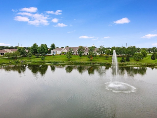 319 Capital Dr, Shorewood, IL 60404 - water view