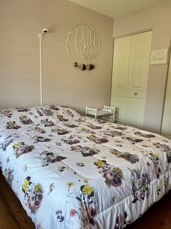 7 Ivy Ct, South Elgin, IL 60177 - bedroom with a closet and dark wood-style floors