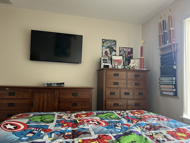 7 Ivy Ct, South Elgin, IL 60177 - view of bedroom
