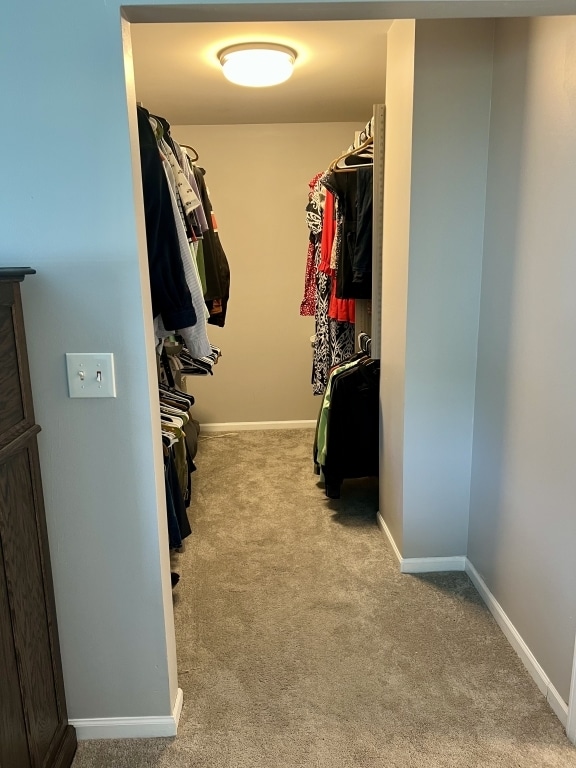 7 Ivy Ct, South Elgin, IL 60177 - spacious closet with carpet