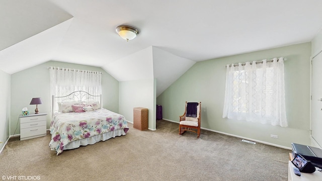 4445 Brittany Dr, Lisle, IL 60532 - bedroom with multiple windows, carpet, and vaulted ceiling