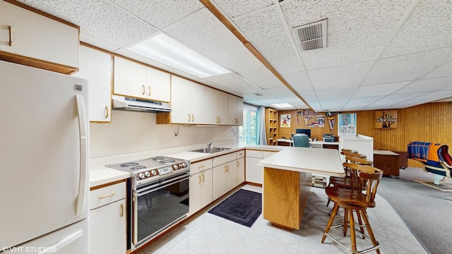 4445 Brittany Dr, Lisle, IL 60532 - kitchen with freestanding refrigerator, electric range, a peninsula, under cabinet range hood, and open floor plan