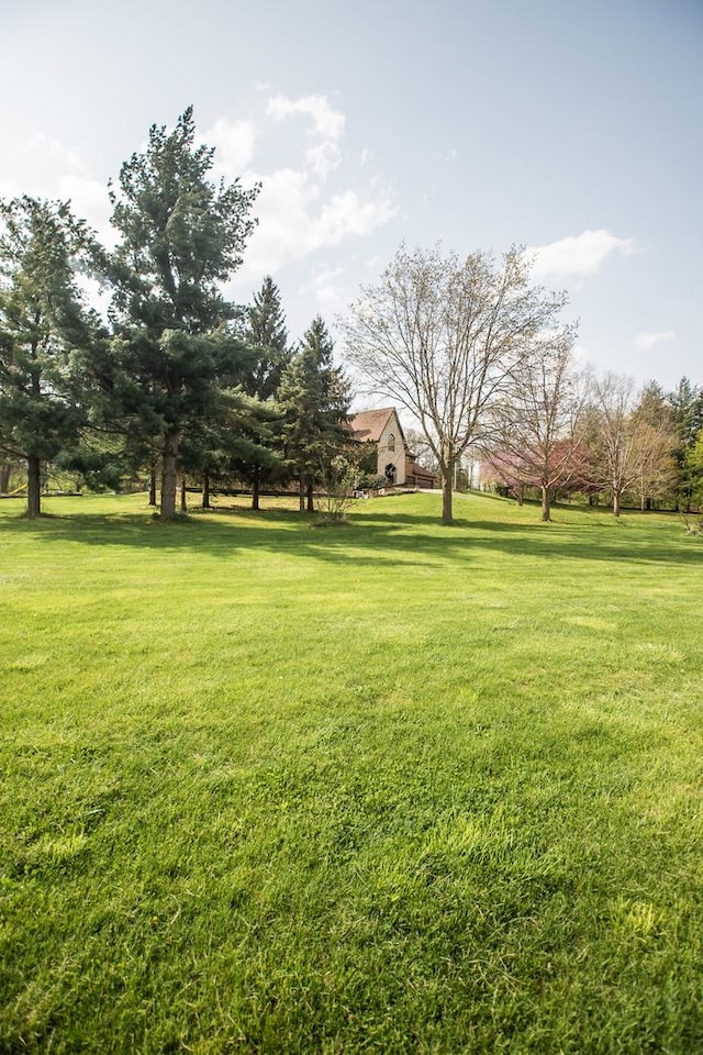 1131 Fourth Ave, Dixon, IL 61021 - view of green lawn
