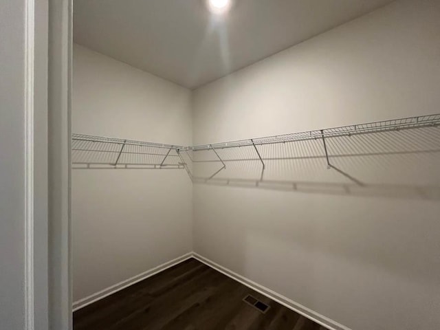 1025 Leeward Ln, Pingree Grove, IL 60140 - spacious closet with dark wood-type flooring