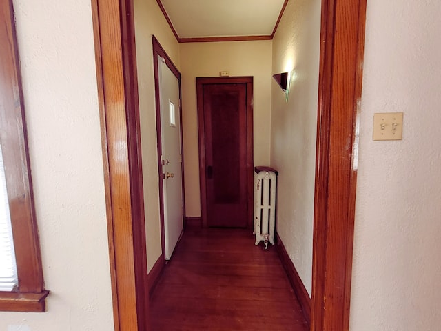 318 W 112th St, Chicago, IL 60628 - hallway with radiator, crown molding, dark wood finished floors, and baseboards