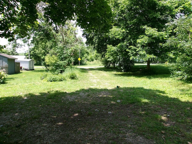 143 W Scott St, Seneca, IL 61360 - view of grassy yard with an outbuilding