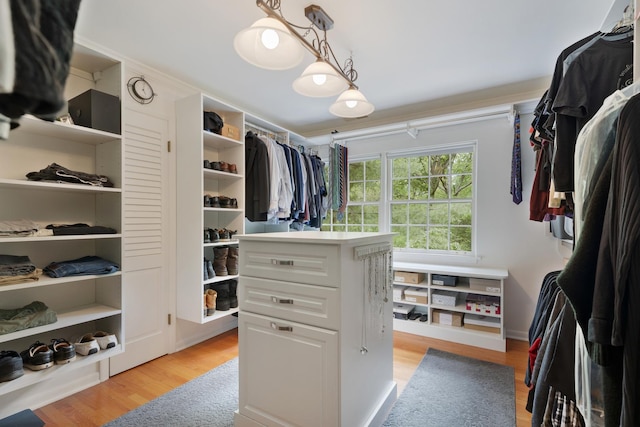 218 Delnor Ave, Saint Charles, IL 60174 - spacious closet with light wood finished floors