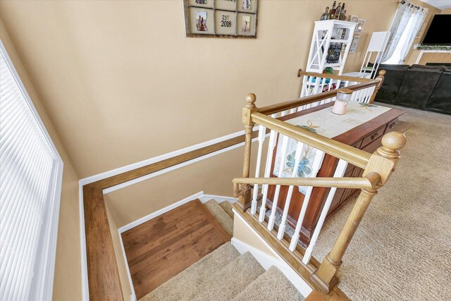 1321 W Ridge Ln, Champaign, IL 61822 - staircase with carpet flooring
