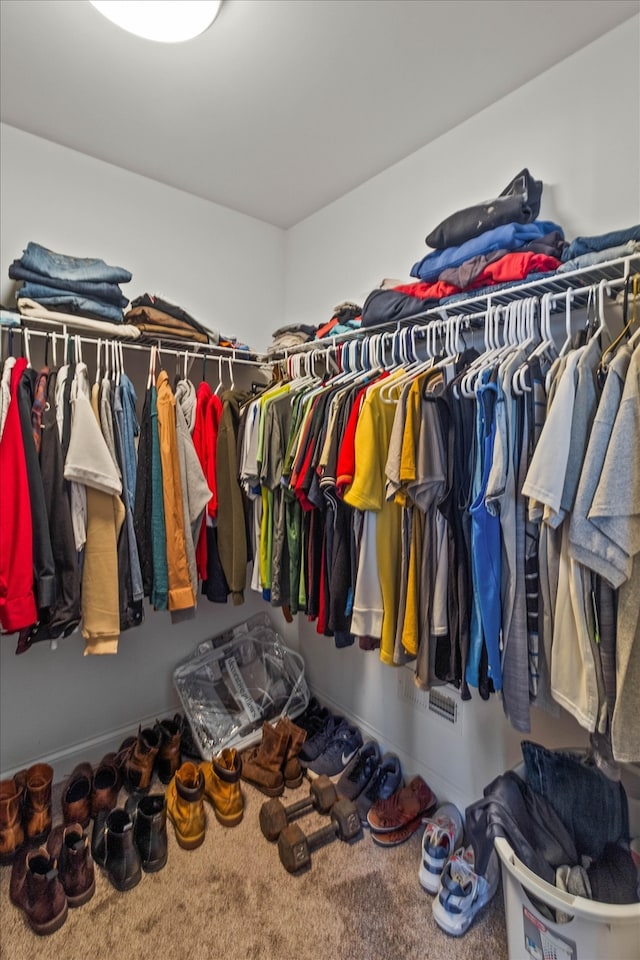 2952 W 100th Pl, Evergreen Park, IL 60805 - walk in closet with carpet floors