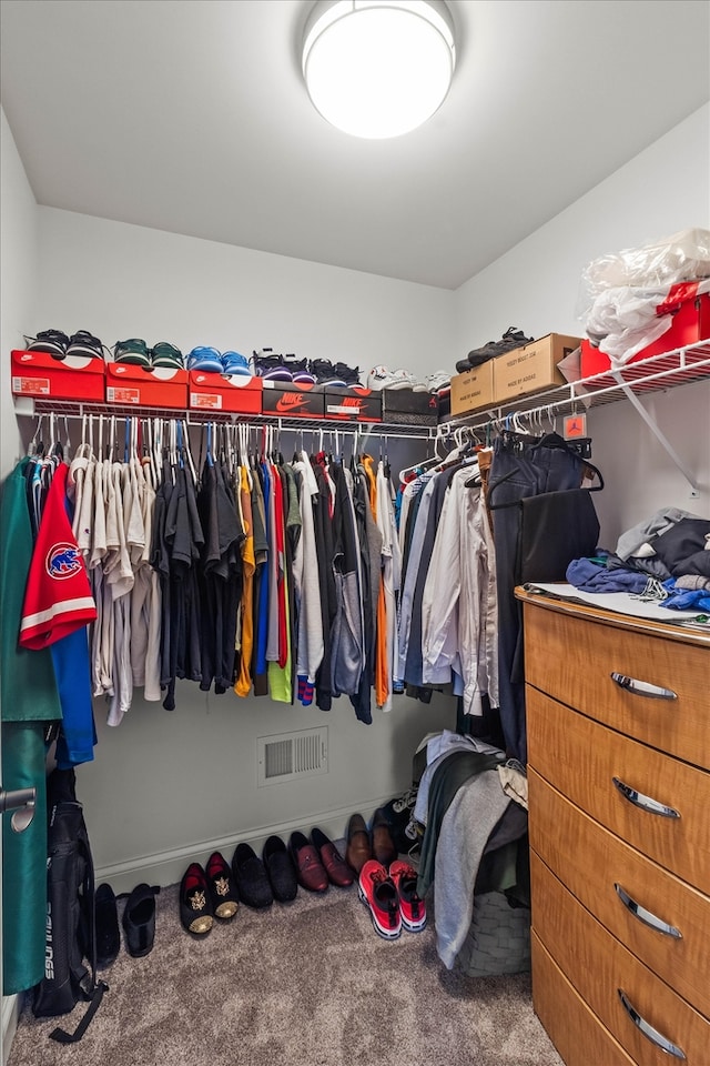 2952 W 100th Pl, Evergreen Park, IL 60805 - spacious closet with carpet floors