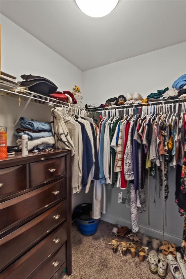 2952 W 100th Pl, Evergreen Park, IL 60805 - spacious closet featuring carpet
