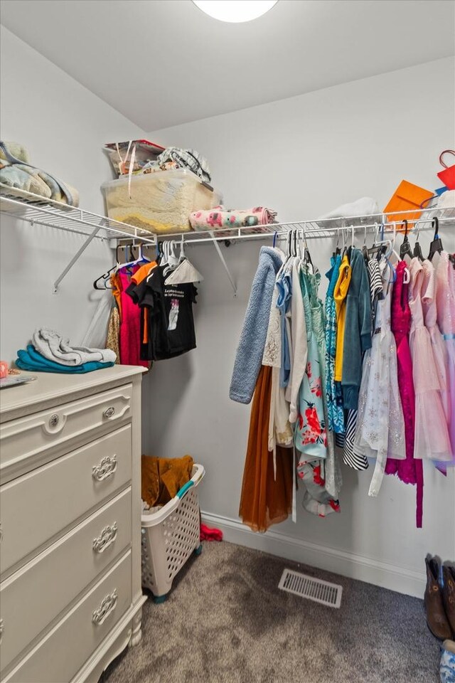 2952 W 100th Pl, Evergreen Park, IL 60805 - walk in closet featuring carpet