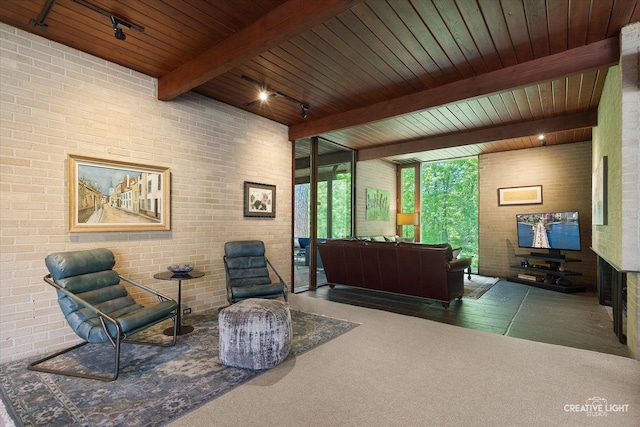 5N477 Curling Pond Rd, Wayne, IL 60184 - living area with brick wall, rail lighting, and a wood ceiling with exposed beams