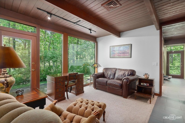 5N477 Curling Pond Rd, Wayne, IL 60184 - living room with a wood ceiling with exposed beams and track lighting