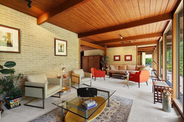5N477 Curling Pond Rd, Wayne, IL 60184 - carpeted living area featuring brick wall, a wooden ceiling with exposed beams, and rail lighting