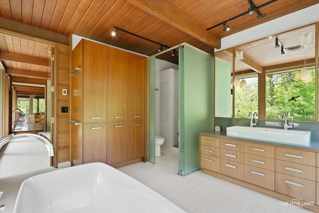 5N477 Curling Pond Rd, Wayne, IL 60184 - full bath with track lighting, a wooden ceiling with exposed beams, vanity, a freestanding tub, and a stall shower