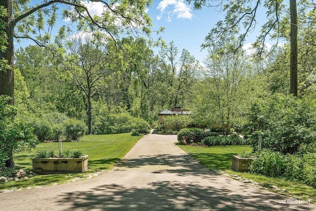 5N477 Curling Pond Rd, Wayne, IL 60184 - view of home's community with a lawn, a view of trees, and asphalt driveway