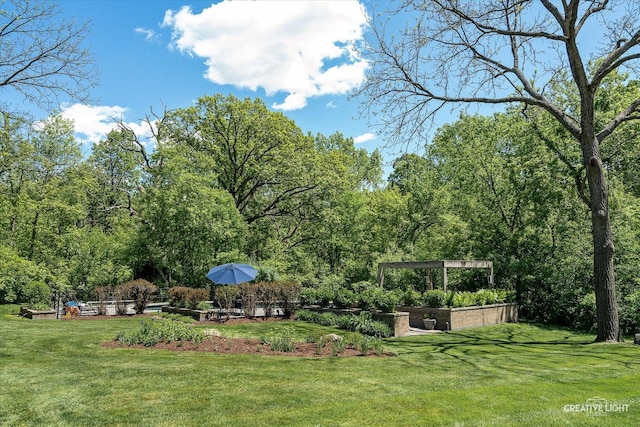 5N477 Curling Pond Rd, Wayne, IL 60184 - view of green lawn