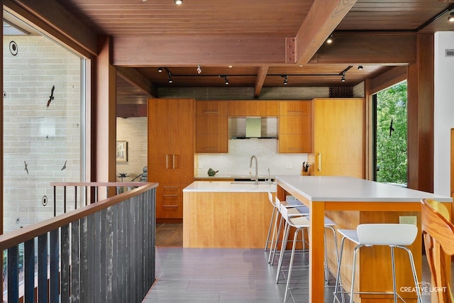 5N477 Curling Pond Rd, Wayne, IL 60184 - kitchen with track lighting, wooden ceiling, brown cabinetry, light countertops, and an island with sink