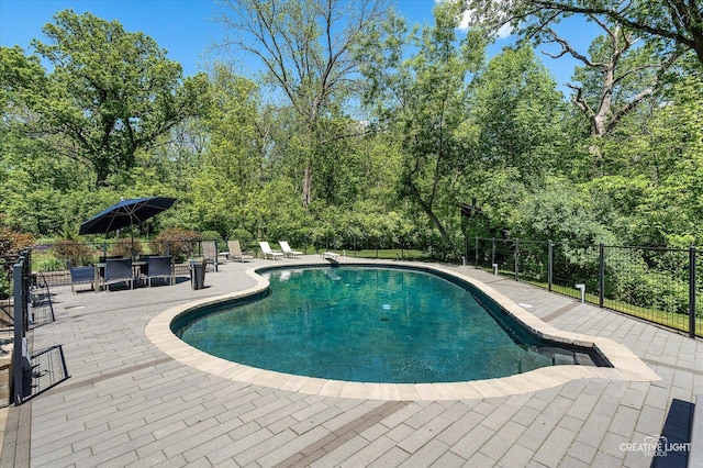 5N477 Curling Pond Rd, Wayne, IL 60184 - view of pool with a patio area
