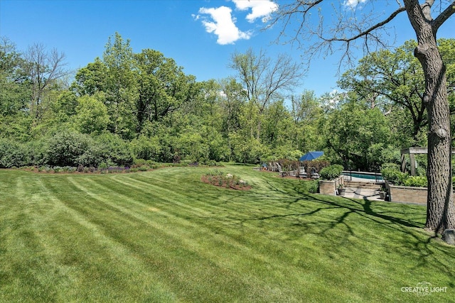 5N477 Curling Pond Rd, Wayne, IL 60184 - view of grassy yard featuring an outdoor pool